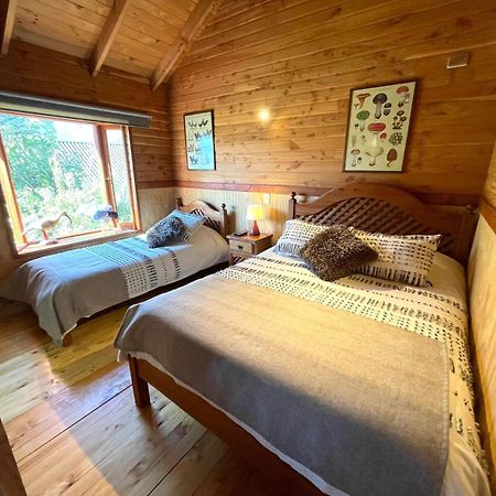 Hostal Pucon Sur Zewnętrze zdjęcie