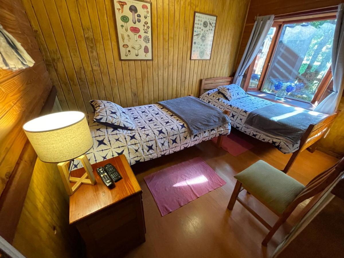 Hostal Pucon Sur Zewnętrze zdjęcie